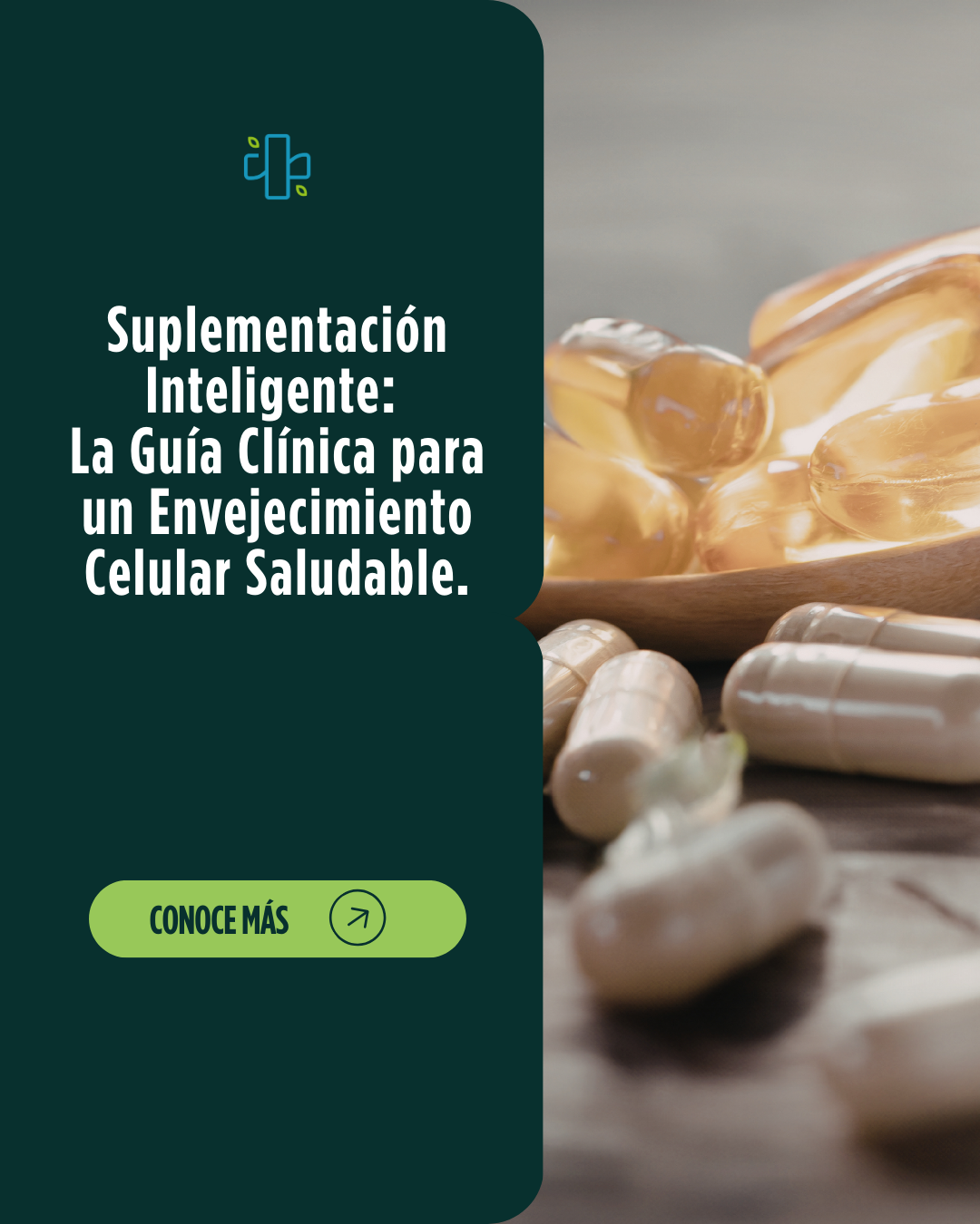 Guía clínica Envejecimiento saludable.